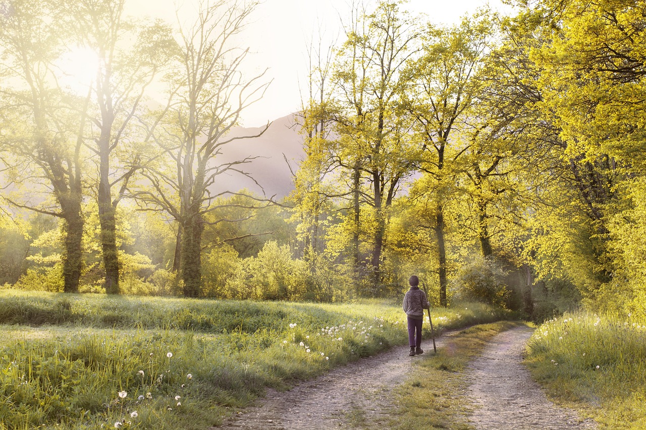 Spazieren gehen in der Natur